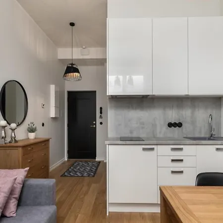 Duoloft Studio Apartment Lovisa Casa With Gym And Terrace Tartu Exterior photo